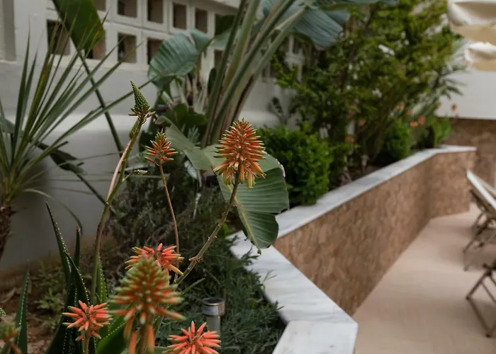 Anita Hotel- Adults Only