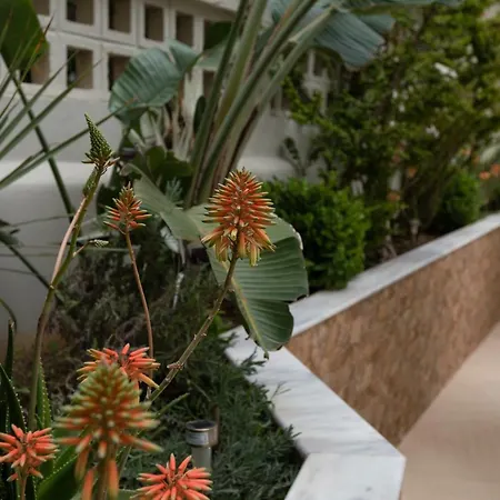 Anita Hotel- Adults Only